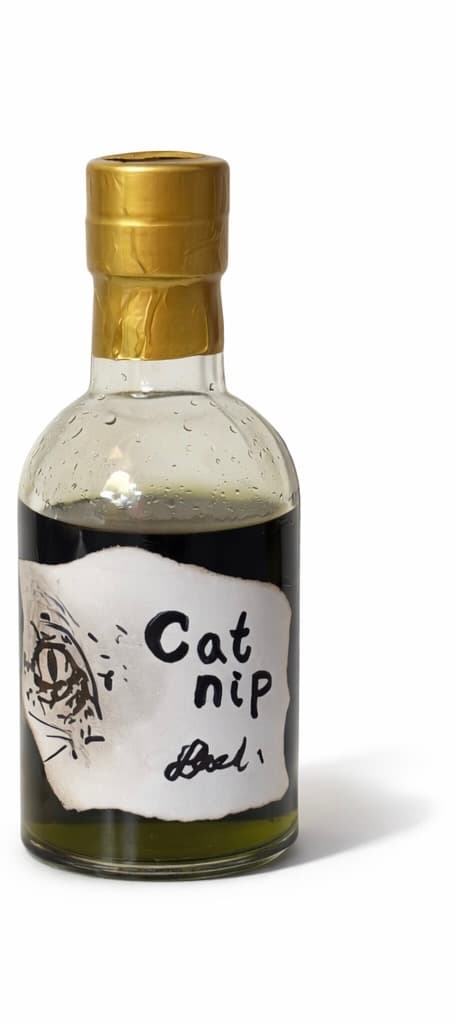 Cat Nip